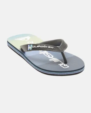 Boys Molokai Art Beach Flip-Flops