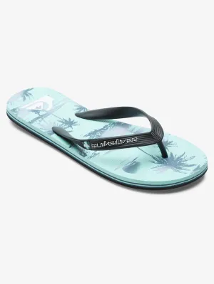 Mens Molokai Air Flow Flip-Flops
