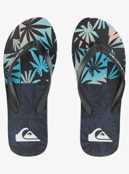 Mens Molokai Art II Flip Flops