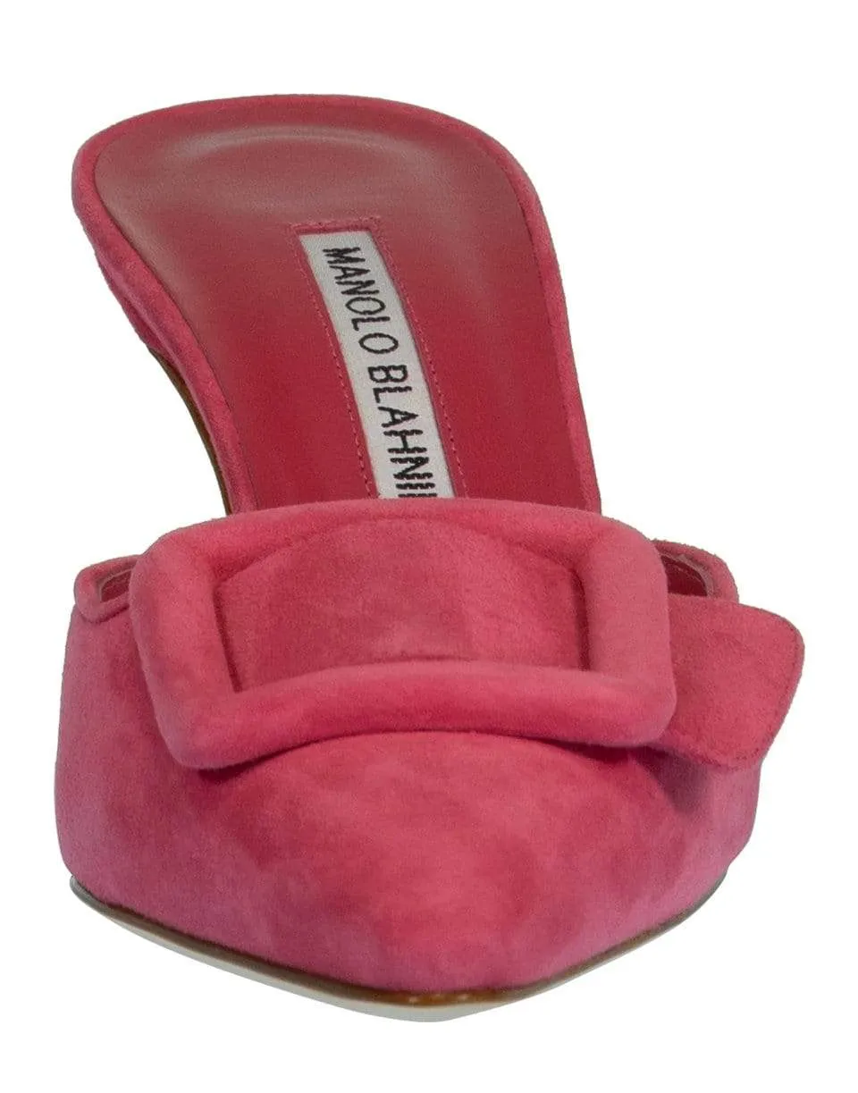 Pink Maysale Mule