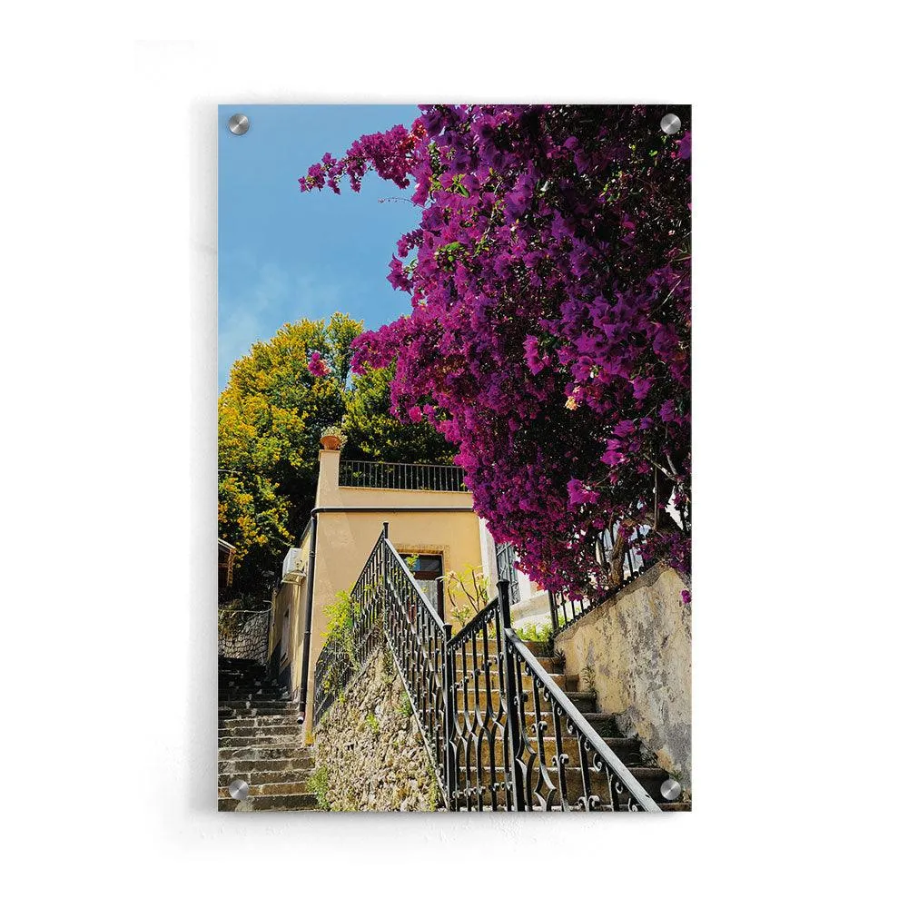 Purple Touch